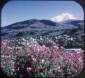 La Haute Savoie - View-Master 3 Reel Packet - vintage - C195F-BG1 Supply