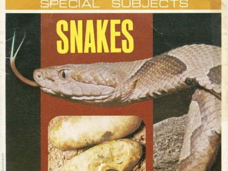 Snakes - View-Master 3 Reel Packet - 1978 - vintage - J65-G6 Hot on Sale