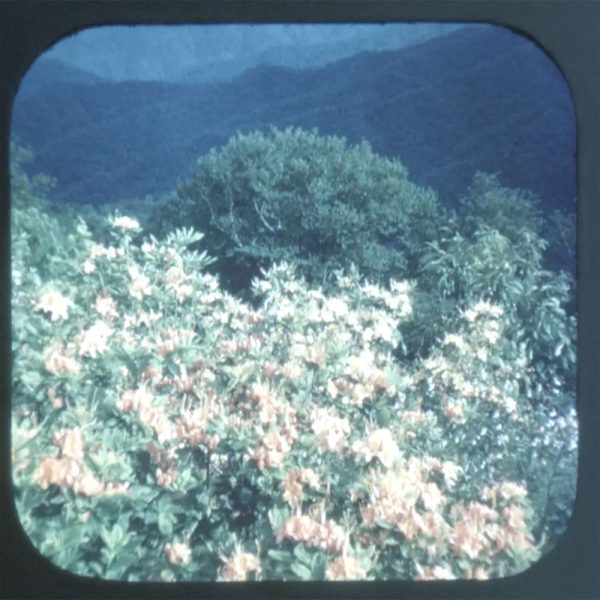 Blue Ridge Parkway - View-Master 3 Reel Packet - vintage - 78-A,B,C-S3 Cheap