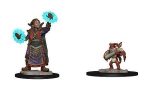 WizKids Wardlings Painted Miniatures For Sale