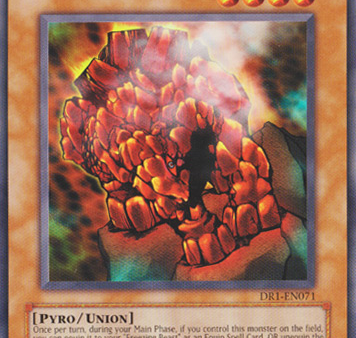 Burning Beast [DR1-EN071] Common For Discount