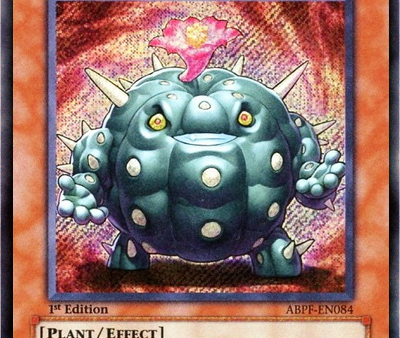 Cactus Bouncer [ABPF-EN084] Secret Rare Online