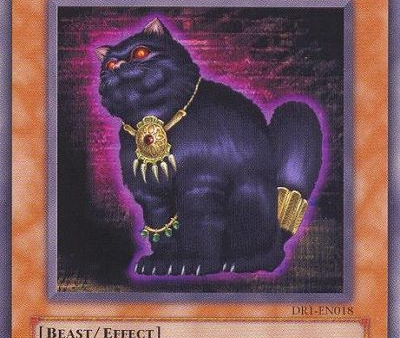 A Cat of Ill Omen [DR1-EN018] Common Cheap