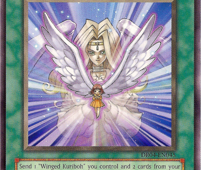 Transcendent Wings [DR04-EN045] Common Hot on Sale