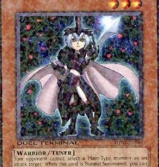 Twilight Rose Knight [DT02-EN054] Common Cheap